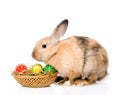 Rabbit sitting with basket easter eggs. isolated on white Royalty Free Stock Photo