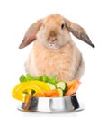 Rabbit sitting with a bowl of vegetables. isolated on white Royalty Free Stock Photo