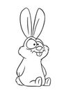 rabbit sitting character animal illustration cartoon coloring