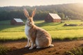 A rabbit sitting on a dirt road in front of a farm