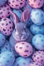 A rabbit sitting among a pile of blue and pink eggs Royalty Free Stock Photo