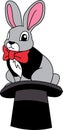 A rabbit is sitting on top hat Royalty Free Stock Photo