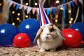 a rabbit with a small party hat on hay