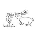 Rabbit sniffs a flower drawn black line. A hare is a wild animal. Royalty Free Stock Photo