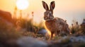 A rabbit is standing in front of the sun, AI Royalty Free Stock Photo