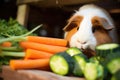 a rabbit stealing a carrot from anothers stash