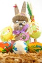 Easter bunny on a white background Royalty Free Stock Photo