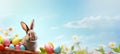 Rabbit surrounded by colorful Easter eggs. Festive bunny. Banner with copy space. For greeting card, invitation