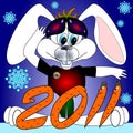 Rabbit symbol 2011 Chinese new year
