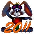 Rabbit a symbol 2011 Chinese new years
