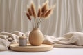 Rabbit tail grass in beautiful tan vase, wooden storage box, neutral beige blanket against white wall. Aesthetic minimal hygge