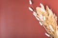 Rabbit tail grass, lager dry bouquet of flowers, on brown background Royalty Free Stock Photo