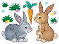 Rabbit topic image 1 Royalty Free Stock Photo