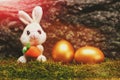 Rabbit toy, golden easter eggs on green moss, tree bark Royalty Free Stock Photo
