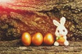 Rabbit toy, golden easter eggs on tree bark background Royalty Free Stock Photo