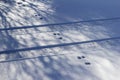 Rabbit tracks crossing car tracks in snow ground texture Royalty Free Stock Photo