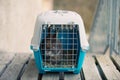 Rabbit in a transport box, pet locked in a cage, taking care of domestic animal, vacation or appointment at a vet doctor