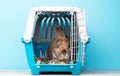 Rabbit in a transport box, pet locked in a cage, taking care of domestic animal, vacation or appointment at a vet doctor Royalty Free Stock Photo