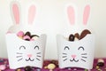 Rabbit treat box with sweet almond eggs and chocolate eggs. Easter candies and party ideias Royalty Free Stock Photo