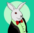 Rabbit in a tuxedo Royalty Free Stock Photo