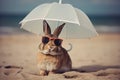 Rabbit under an umbrella on the beach in sunny weather is resting