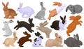 Rabbit vector cartoon set icon. Isolated cartoon set icon animal.Vector illustration rabbit on white background. Royalty Free Stock Photo