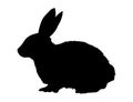 Rabbit vector illustration silhouette.Rabbit animal Royalty Free Stock Photo