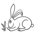 Rabbit Vector. Use Web, line , icon or logo, bunny