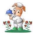 The rabbit waiters is holding the moveable cover food Royalty Free Stock Photo