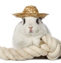 Rabbit wearing a hat and leaning on a rope