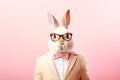 Rabbit Wearing Pink Suit and Sunglasses Royalty Free Stock Photo