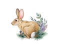 Rabbit winter floral decor. Watercolor illustration. Hand drawn cute bunny with pine branches, eucalyptus, lavender