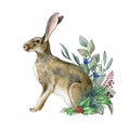 Rabbit with wintertime floral natural decor. Watercolor illustration. Hand drawn rabbit with pine branches, eucalyptus