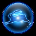 Rabbit Zodiac icon