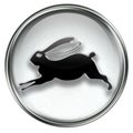 Rabbit Zodiac icon grey