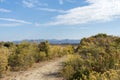 Rabbitbrush beside a high desert trail with blue mountains in the background Royalty Free Stock Photo