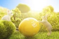 Rabbits with easter eggs on green meadow over sundown. Cute Little easter bunny on spring flowers and green grass Royalty Free Stock Photo