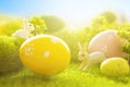 Rabbits with easter eggs on green meadow over sundown. Cute Little easter bunny on spring flowers and green grass Royalty Free Stock Photo