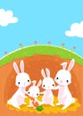 Rabbits family