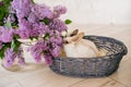 Rabbits with lilac in a wicker basket on a light background