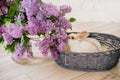 Rabbits with lilac in a wicker basket on a light background