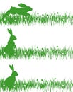 Rabbits on a meadow