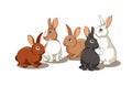 Rabbits