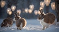 Cute Rabbits in a Winter Wonderland with Festive Glowing Lanterns creating magical scene Royalty Free Stock Photo