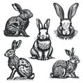 Rabbits vintage engraving illustration Royalty Free Stock Photo