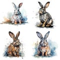 rabbits watercolor illustration set