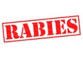 RABIES Royalty Free Stock Photo