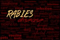 Rabies - viral incurable disease of humans and animals. Health care word text block.