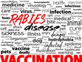 Rabies - viral incurable disease of humans and animals. Health care word text block.