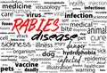 Rabies - viral incurable disease of humans and animals. Health care word text block.